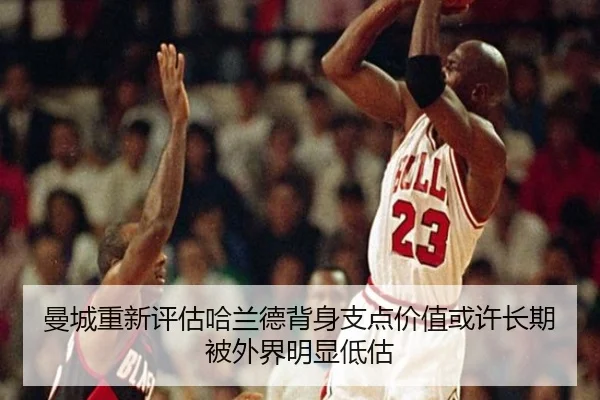 man-cheng-chong-xin-ping-gu-ha-lan-de-bei-shen-zhi-dian-jia-zhi-huo-xu-chang-qi-bei-wai-jie-ming-xian-di-gu-2-424.jpg