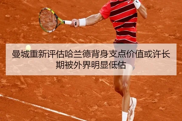 man-cheng-chong-xin-ping-gu-ha-lan-de-bei-shen-zhi-dian-jia-zhi-huo-xu-chang-qi-bei-wai-jie-ming-xian-di-gu-3-303.jpg